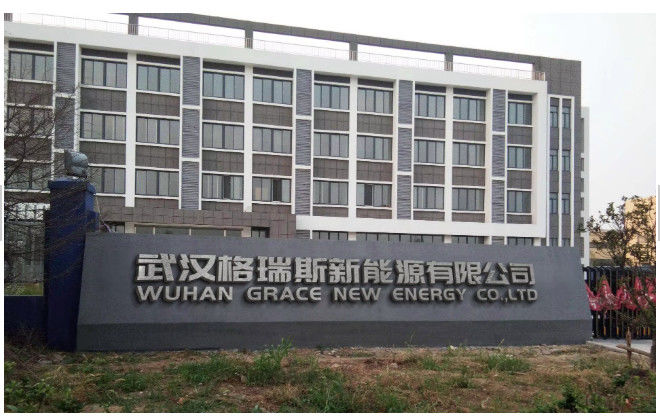 China WUHAN GRACE NEW ENERGY CO., LTD. Company Profile 